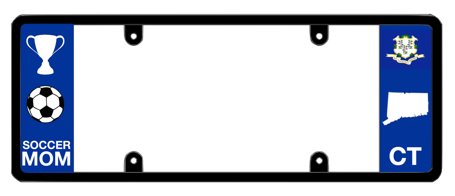 DFS Connecticut CT Patented License Plate Frame Holder