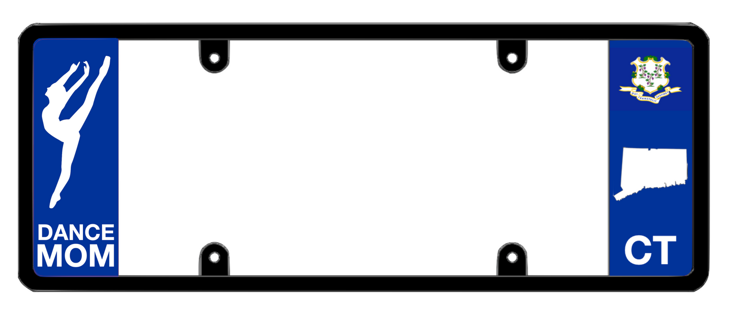 DFS Connecticut CT Patented License Plate Frame Holder