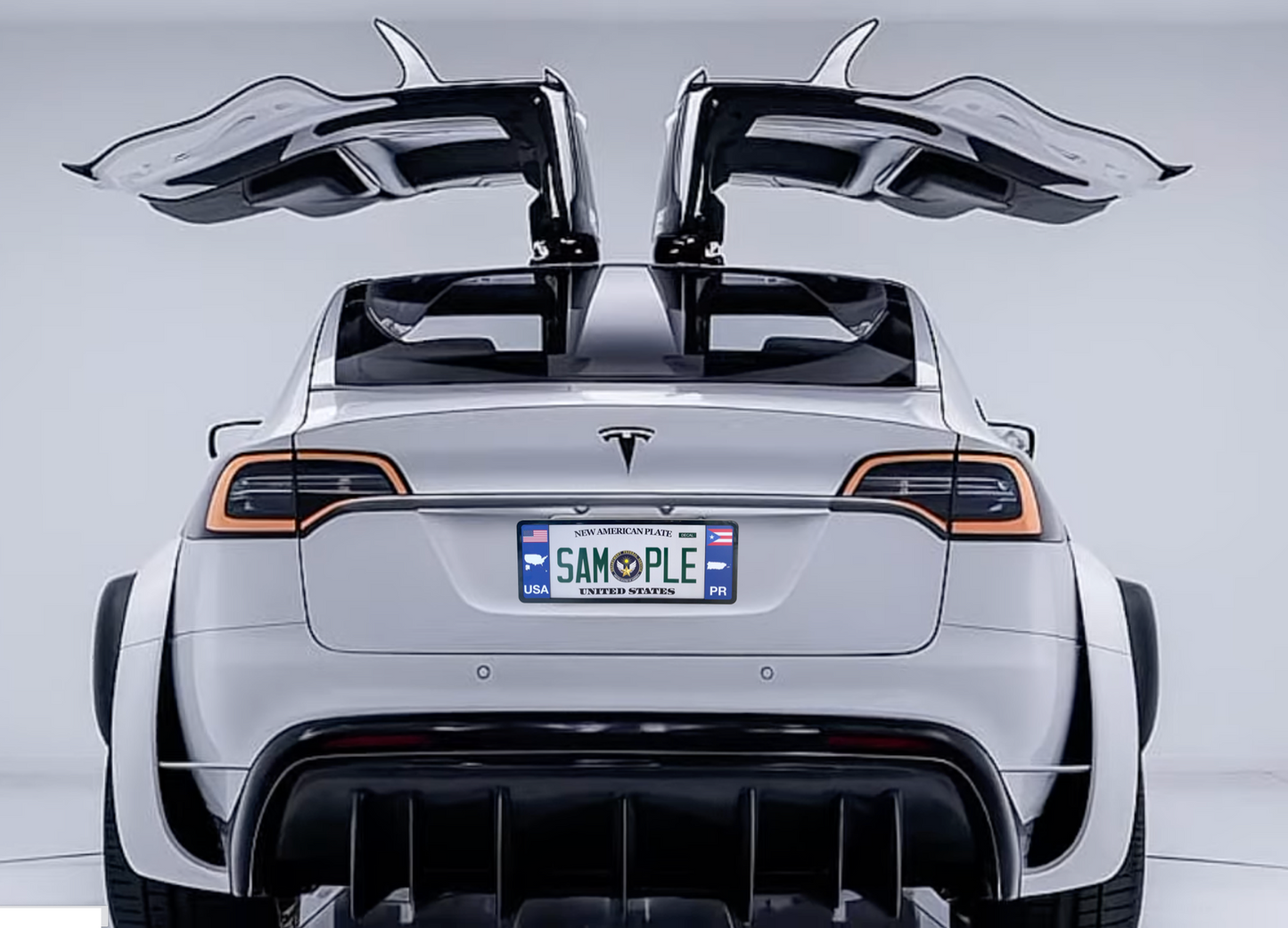 DFS Brazil BRA Patented License Plate Frame Holder