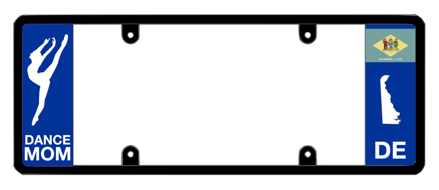 DFS Delaware DE Patented License Plate Frame Holder