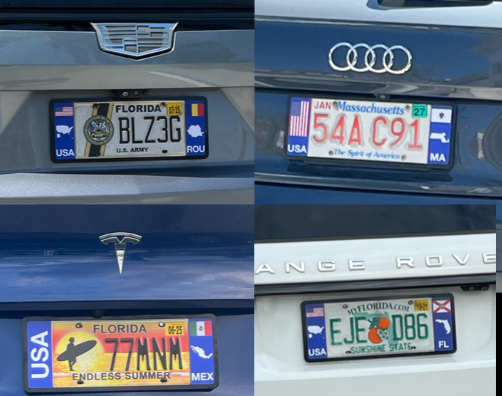 Collage of various DFS license plates frames from different states on cars
