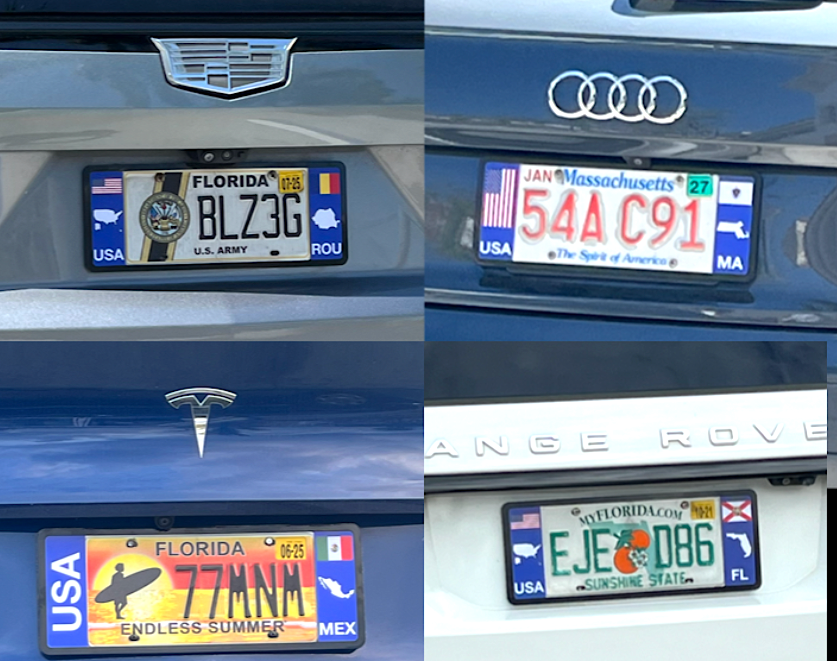Four different DFS license plates frames from various states on car grilles. DFS is the official license frame of America