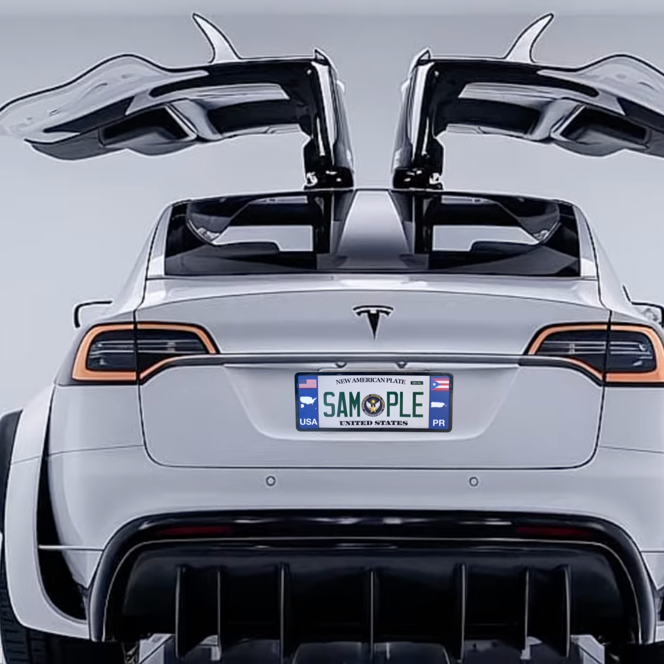 Tesla with Puerto rico license plate frame 